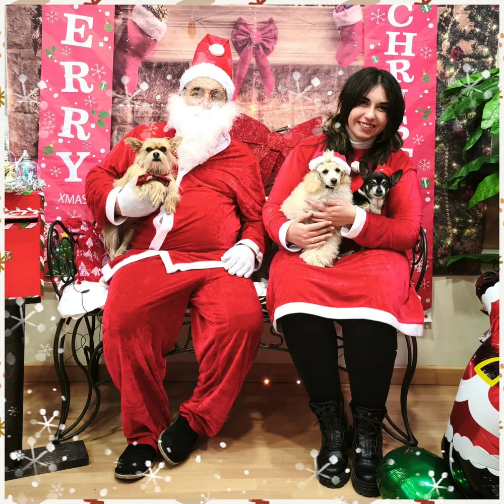 Sesión de fotos de Navidad con mascotas en Traviesos